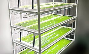 Mazda’s R&D Project for Biodiesel Fuel Deployment <br>Selected for Japan’s NEDO Program