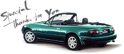 Roadster SR Limited